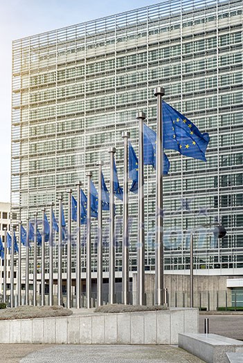 European Union flags in front of the Berlaymont building (European commission) in Brussels, Belgium. European Union flags in front of the Berlaymont building (European commission) in Brussels, Belgium.
