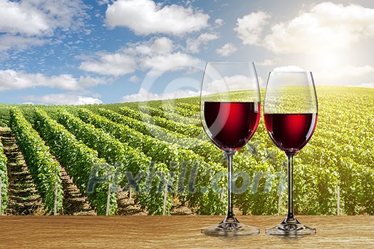 Glass of red wine against vineyard landscape Glass of red wine against vineyard landscape
