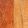 Brown vintage leather texture closeup