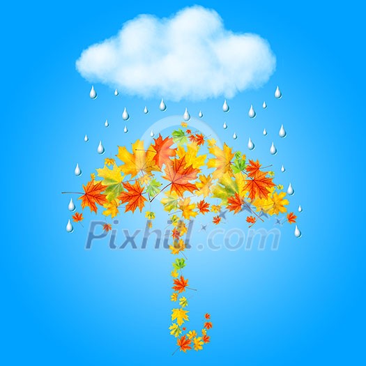 umbrella from autumn leaves under cloud and rain umbrella from autumn leaves under cloud and rain