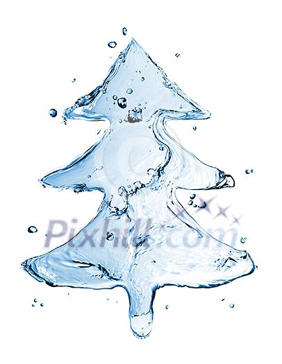 fir tree from water splash isolated on white fir tree from water splash isolated on white