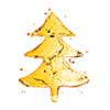 fir tree from orange water splash isolated on white