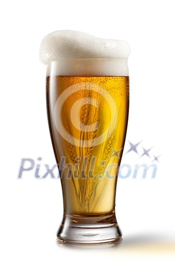 Beer in glass and wheat inside isolated on white background Beer in glass and wheat inside isolated on white background