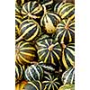 background from small pumpkins