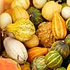 pumpkins background