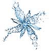 flower from water splashes isolated on white