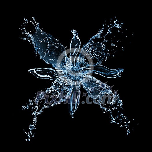 flower from water splashes isolated on black flower from water splashes isolated on black