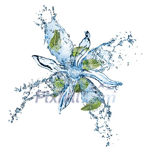 water splash with green mint isolated on white water splash with green mint isolated on white