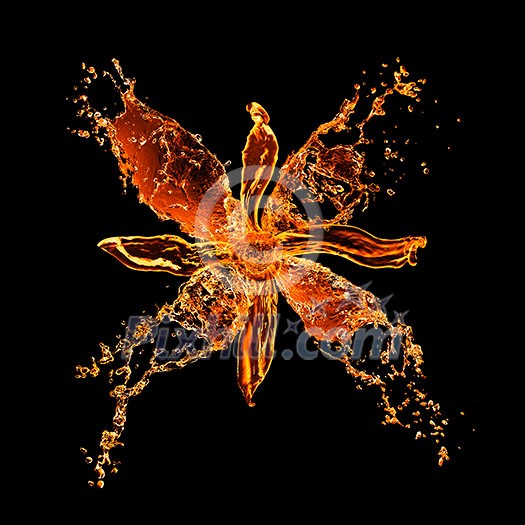flower from water splashes isolated on black flower from water splashes isolated on black