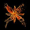 flower from water splashes isolated on black