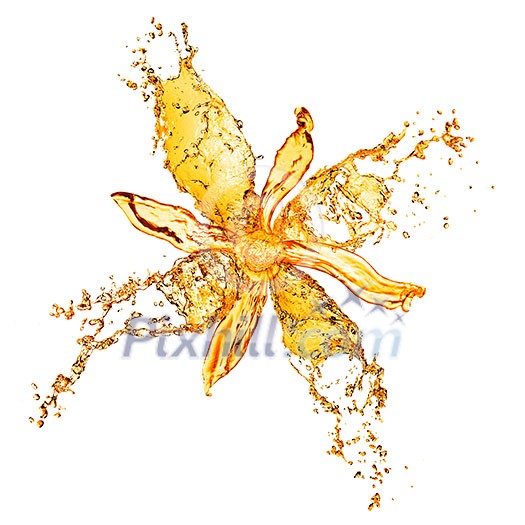 flower from water splashes isolated on white flower from water splashes isolated on white