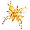 flower from water splashes isolated on white