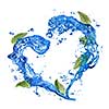 heart of water splash with green mint isolated on white
