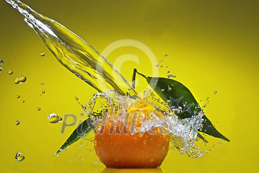 Tangerine with green leaves and water splash on green background Tangerine with green leaves and water splash on green background