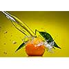 Tangerine with green leaves and water splash on green background