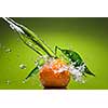 Tangerine with green leaves and water splash on green background