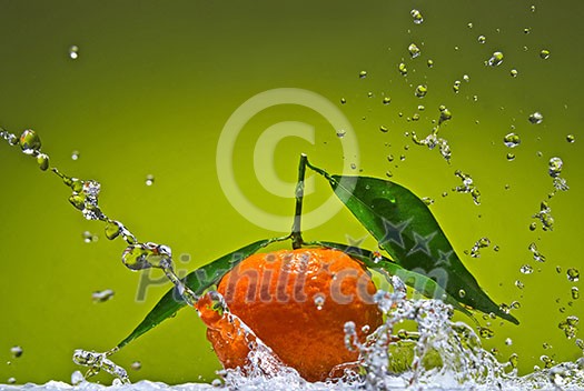 Tangerine with green leaves and water splash on green background Tangerine with green leaves and water splash on green background