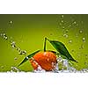 Tangerine with green leaves and water splash on green background