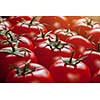 red tomatoes background. top view