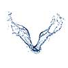 water splash isolated on white
