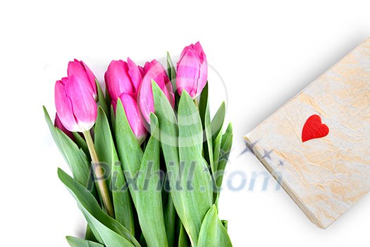 close-up pink tulips with gift isolated on white close-up pink tulips with gift isolated on white