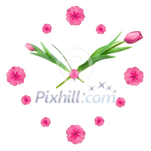 Clock made of pink tulips isolated on white Clock made of pink tulips isolated on white
