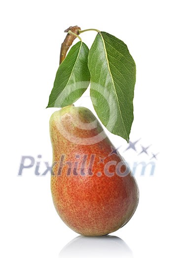 red pear with leaves isolated on white red pear with leaves isolated on white