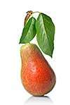 red pear with leaves isolated on white