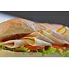 fresh sandwich close up with vegetables and meat fish isolated on white background