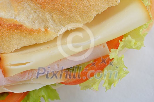 fresh sandwich close up with vegetables and meat fish isolated on white background fresh sandwich close up with vegetables and meat fish isolated on white background