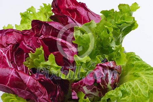 fresh organic eco vegetable salad,close-up isolated on white fresh organic eco vegetable salad,close-up isolated on white
