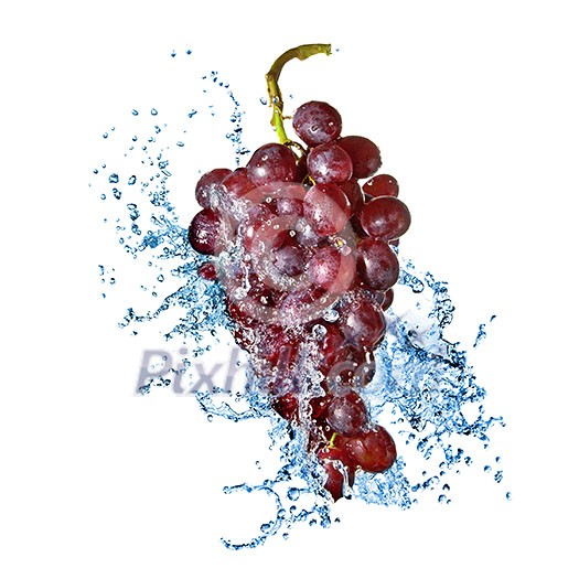 blue grape with water splash isolated on white blue grape with water splash isolated on white