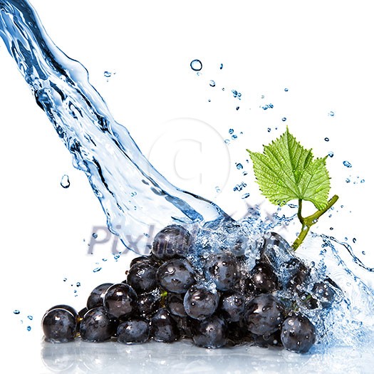 blue grape with water splash isolated on white blue grape with water splash isolated on white
