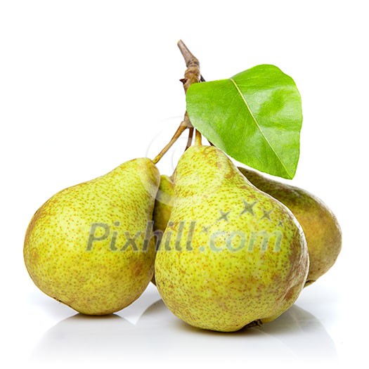 yellow pears with leaf isolated on white yellow pears with leaf isolated on white