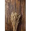 wheat on wooden background. top view
