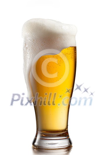Beer in glass isolated on white background Beer in glass isolated on white background
