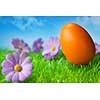 Orange easter egg in the grass against blue sky