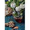 Cup of tea and cookies made of nuts and raisins. Kozinaki.