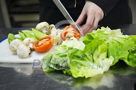beautiful young chef woman prepare and decorating tasty food in kitchen beautiful young chef woman prepare and decorating tasty food in kitchen