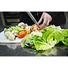 beautiful young chef woman prepare and decorating tasty food in kitchen