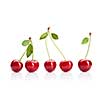 Red cherry with leaves isolated on white