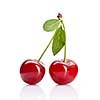 Red cherry with leaves isolated on white
