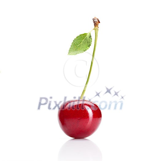 Red cherry with leaves isolated on white Red cherry with leaves isolated on white