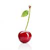 Red cherry with leaves isolated on white