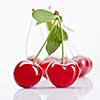 Red cherry with leaves isolated on white