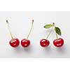 Red cherry with leaves on white