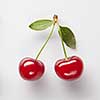 Red cherry with leaves on white
