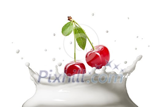 Milk splash isolated on white Milk splash isolated on white