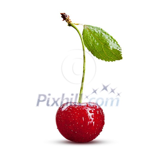 Red cherry with leaves isolated on white Red cherry with leaves isolated on white
