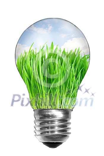 Natural energy concept. Light bulb with summer meadow inside isolated on white Natural energy concept. Light bulb with summer meadow inside isolated on white
